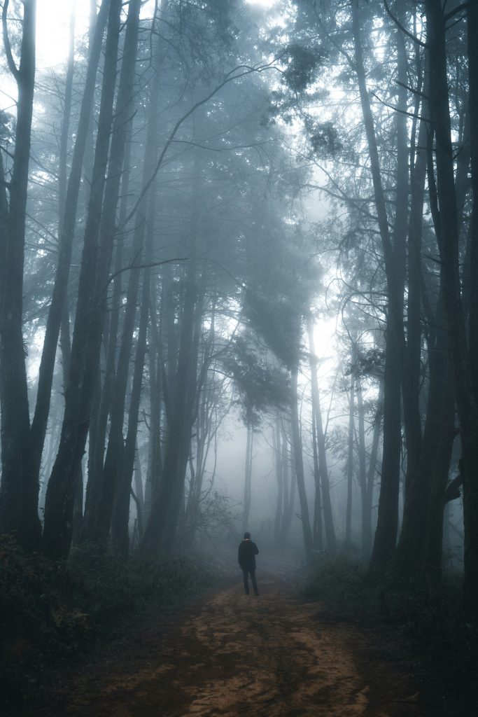 Woman walking alone through a misty forest path, symbolizing life transitions
