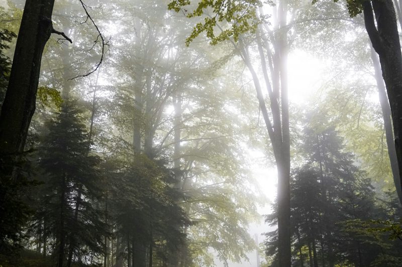 When You’re in Between: How to Embrace the In-Between Seasons of Life