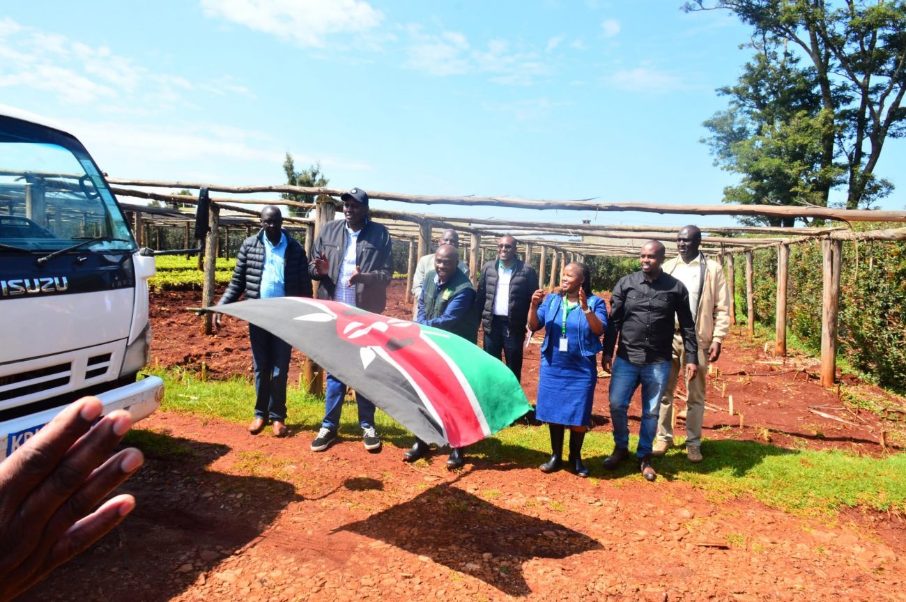 TRI officials handing over mosquito bug-resistant tea clones seedlings in Kenya
