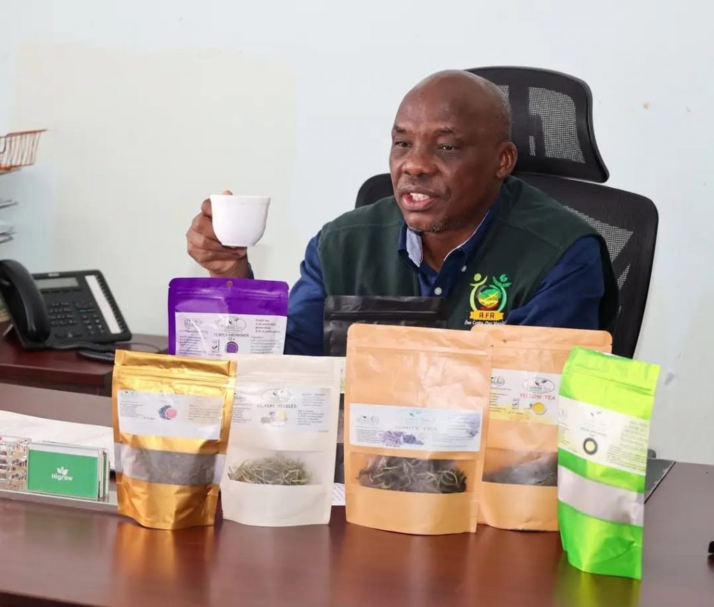 Agriculture PS Paul Rono launching mosquito bug-resistant tea clones Kenya