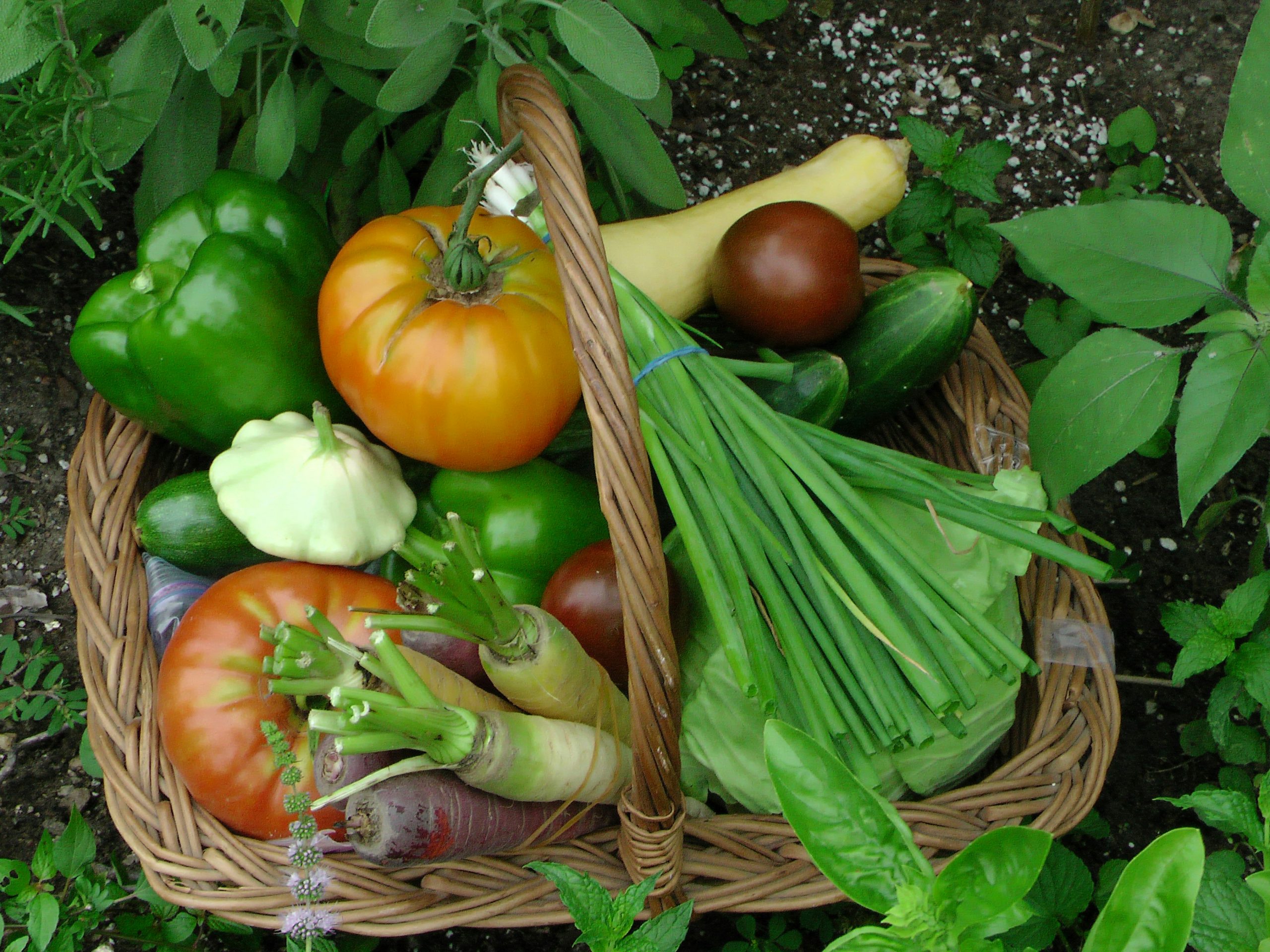 Fresh produce harvested from a small kitchen garden in rural Kenya