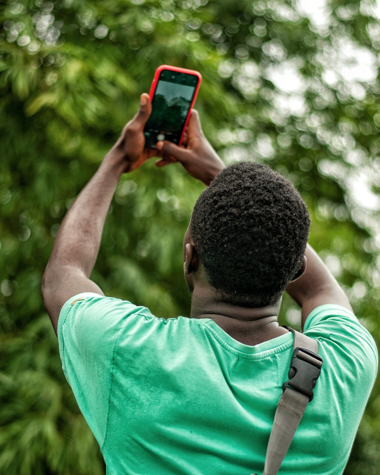 Young Kenyan farmer using smartphone in green field for digital farm management