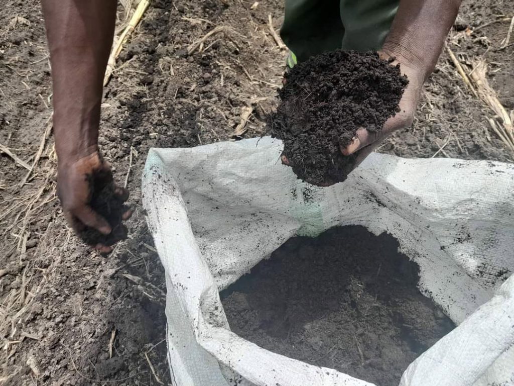 Compost manure used in traditional farming